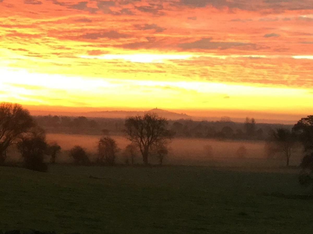 Castle Farm Bed & Breakfast Wedmore Dış mekan fotoğraf