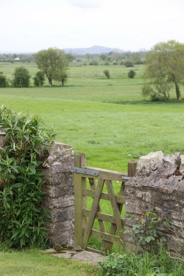 Castle Farm Bed & Breakfast Wedmore Dış mekan fotoğraf