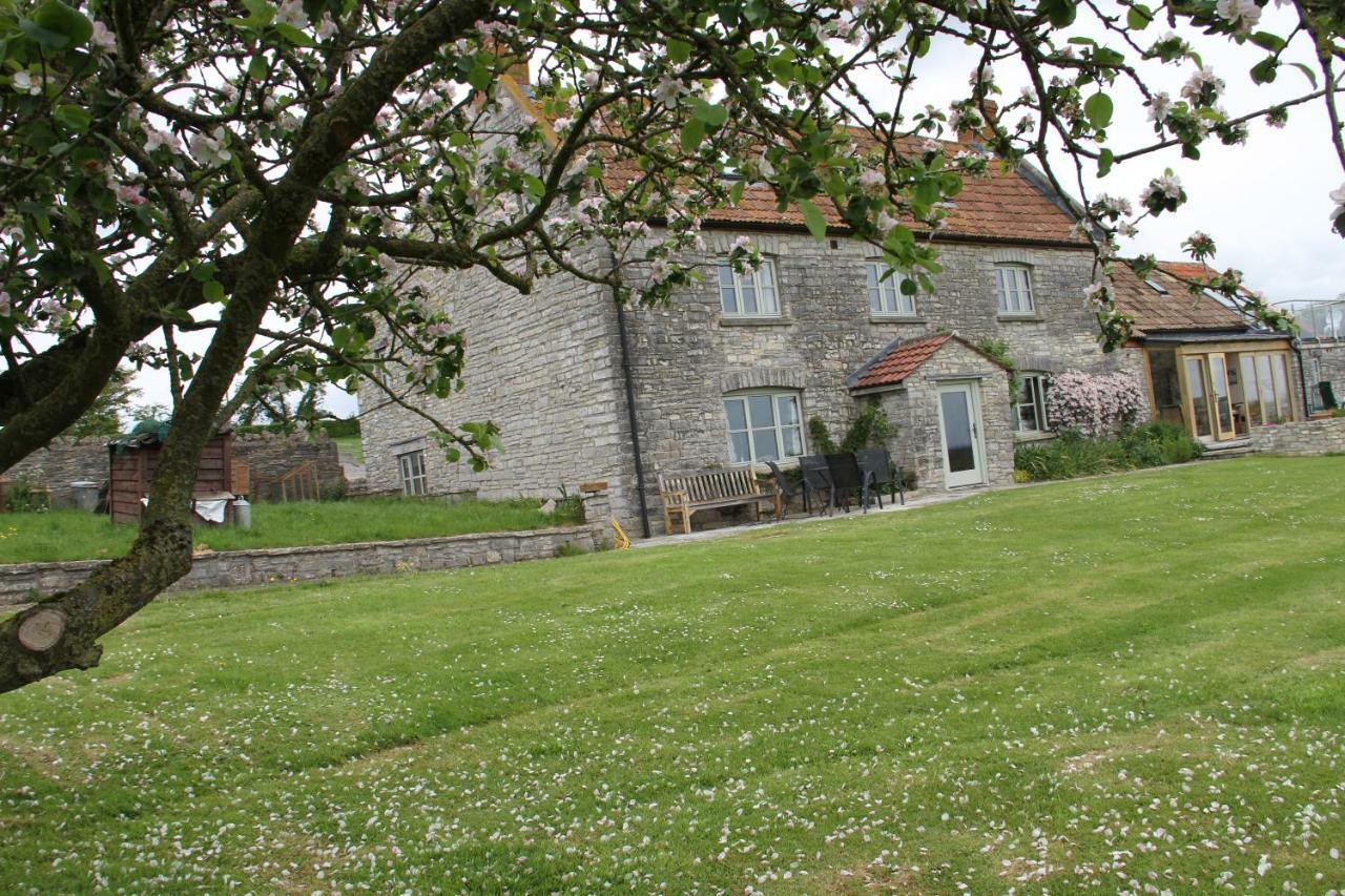 Castle Farm Bed & Breakfast Wedmore Dış mekan fotoğraf