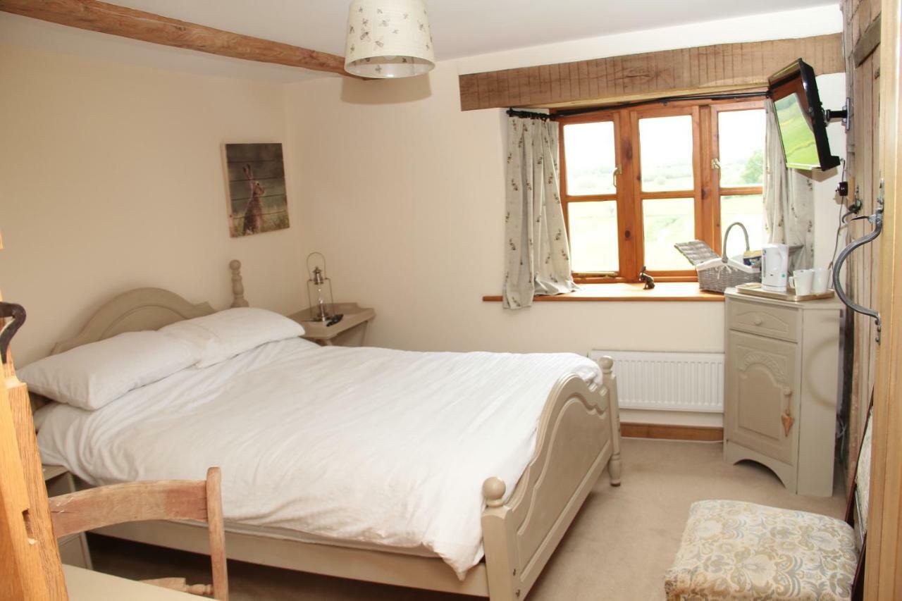 Castle Farm Bed & Breakfast Wedmore Dış mekan fotoğraf